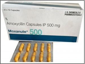 Amoxicillin Capsule Ip 500mg - SS Medex